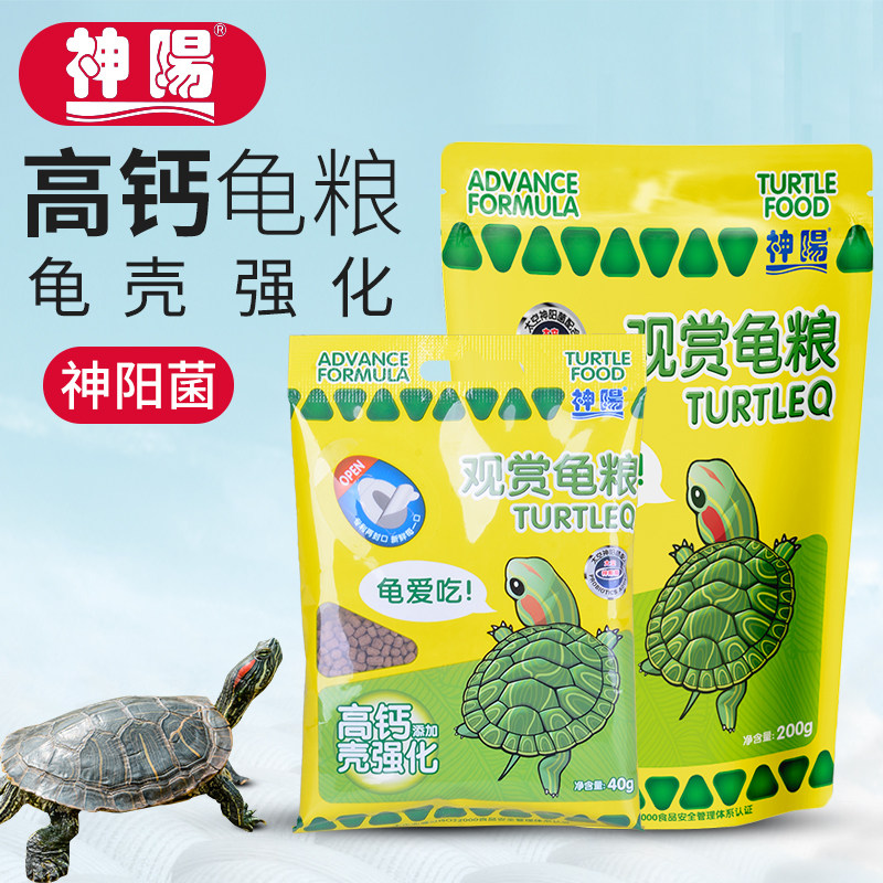 观赏乌龟神阳高钙高蛋白图片