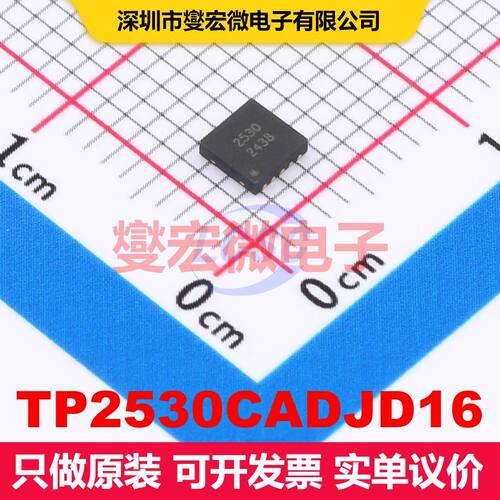 TP2530CADJD16 PDFN-10L(3x3) 线性低压差（LDO）电压调节器 电