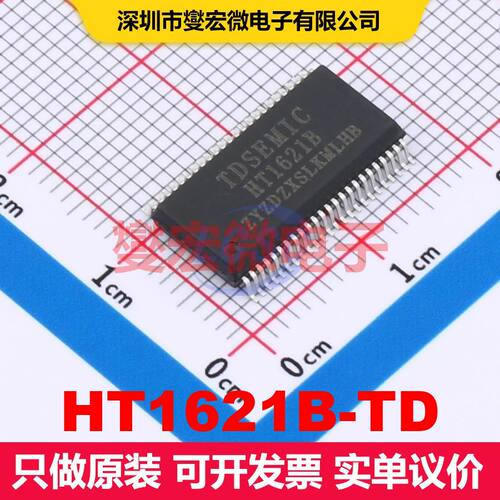 HT1621B-TD SSOP-48-300mil 显示驱动器 电源管理 集成芯片IC
