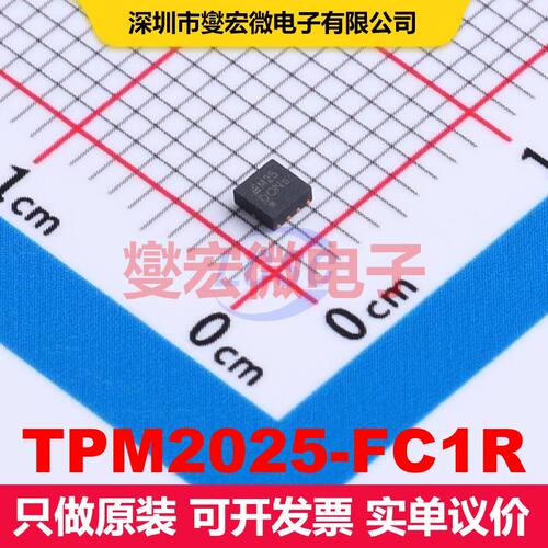 TPM2025-FC1R QFN-10(2x2) 闸极驱动器 电源管理 集成芯片IC