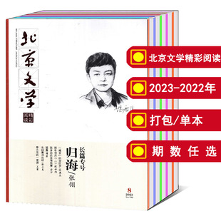 全年 可选 12月 2022年 文摘故事小说欣赏期刊书籍 打包 北京文学精彩阅读杂志原创版 2023 2024年1
