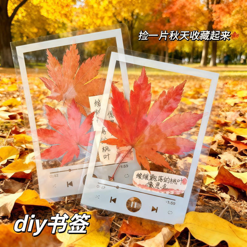 新款书签手工DIY透明标本自制相框系列压花植物落叶创意压花书签