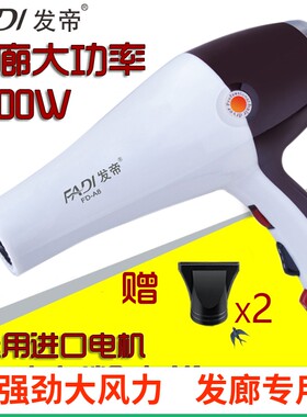 发帝A8吹风机发型师专用大功率美发店发廊专业变频恒温护发吹风简