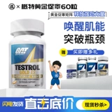 Специальный тест American Gat Gold Special Test 60 Увеличение уравновешенного агента.