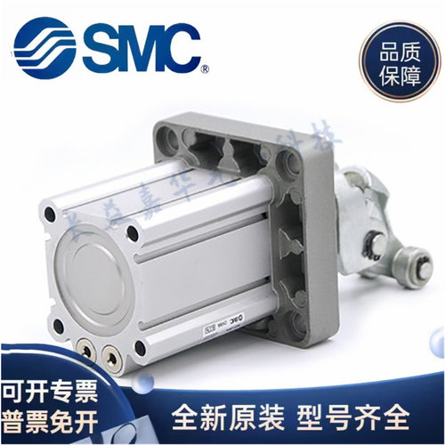 SMC阻挡气缸RS2H50-30 DL DM BL BM TL TM-D-X2700-DNU9009