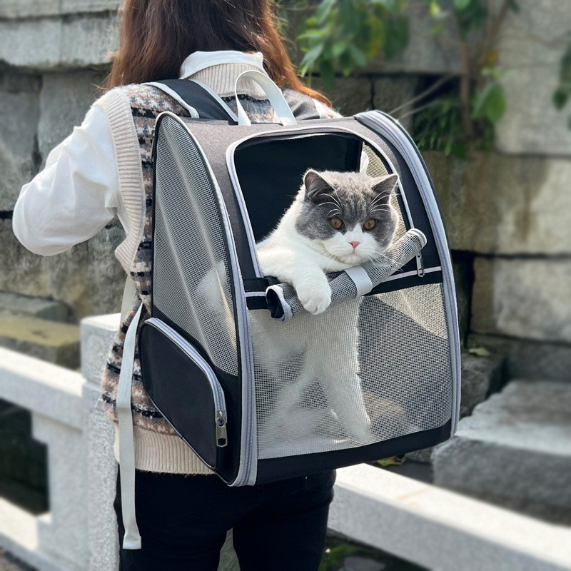 四角獸透明透氣寵物外出雙肩包