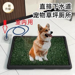 狗狗专用接下水道草坪厕所