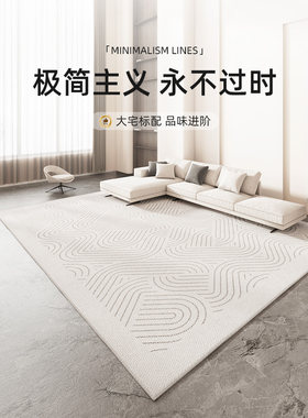 地毯客厅2025新款可洗可擦卧室床头毯地垫无障碍豪华高端房间沙发