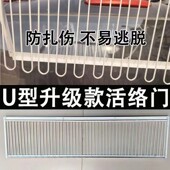 鸽子撞门进出门信鸽赛鸽用品鸽舍只进不出笼门鸽棚配件U型活络门
