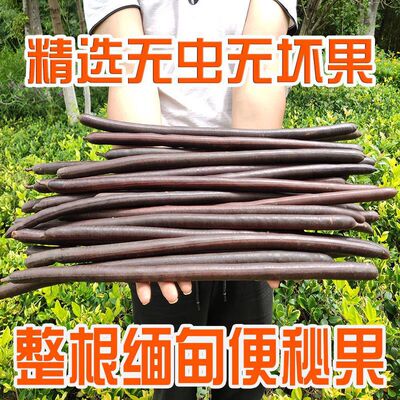 包邮便秘果整根云南便秘果果肉缅甸排便大解果腊肠果批发奇异果