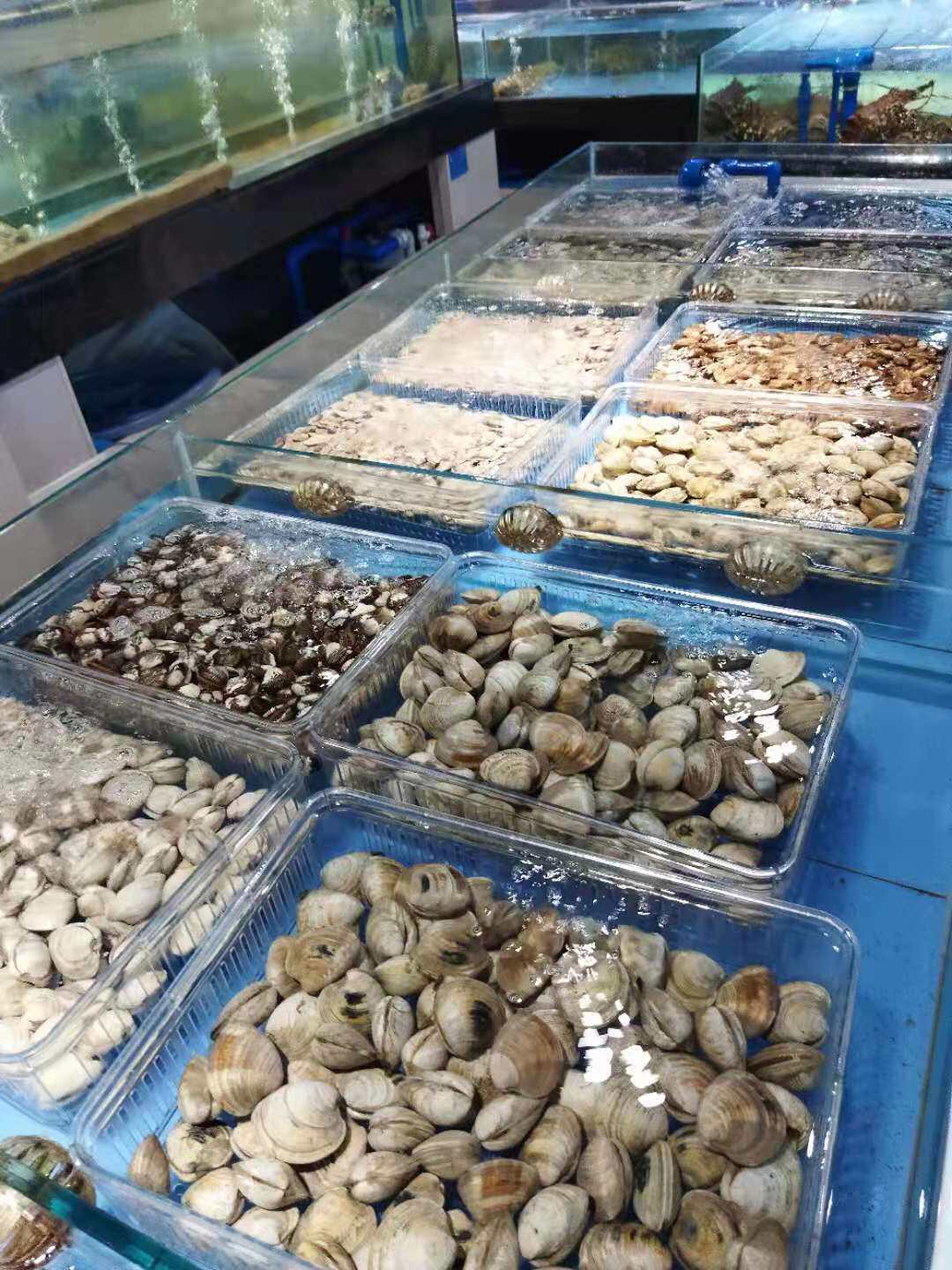 海鲜框 篮子 花甲漏沙盒子 大孔 增高带支架PC塑料透明色蓝色白色