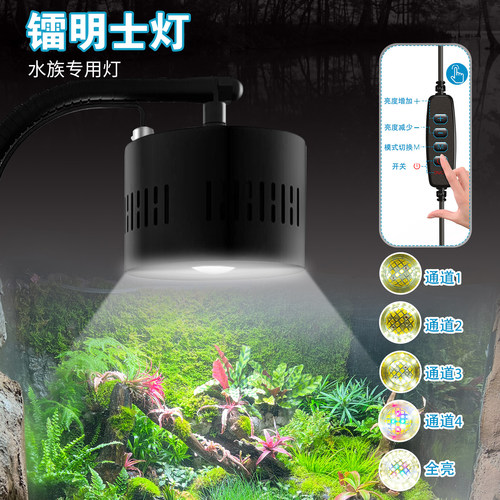 镭明士Asta系列藻缸灯珊瑚