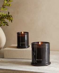 罗勒 麝香渐层 雪松木 ZARA 迷你 白莲花 皮革 超大 HOME香薰蜡烛