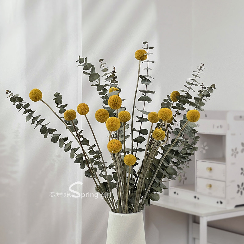 黄金球尤加利叶干花花束diy材料客厅卧室装饰摆设北欧风文艺插花,家居饰品,干花/花瓣/干花包/干树枝,淘宝优惠券,粉丝福利购,淘宝优惠卷