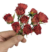 饰蔷薇泡泡 多头小玫瑰 云南直发DIY装 迷你真干花拍照道具小花束