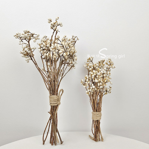 小白果干花小清新装饰diy干树枝