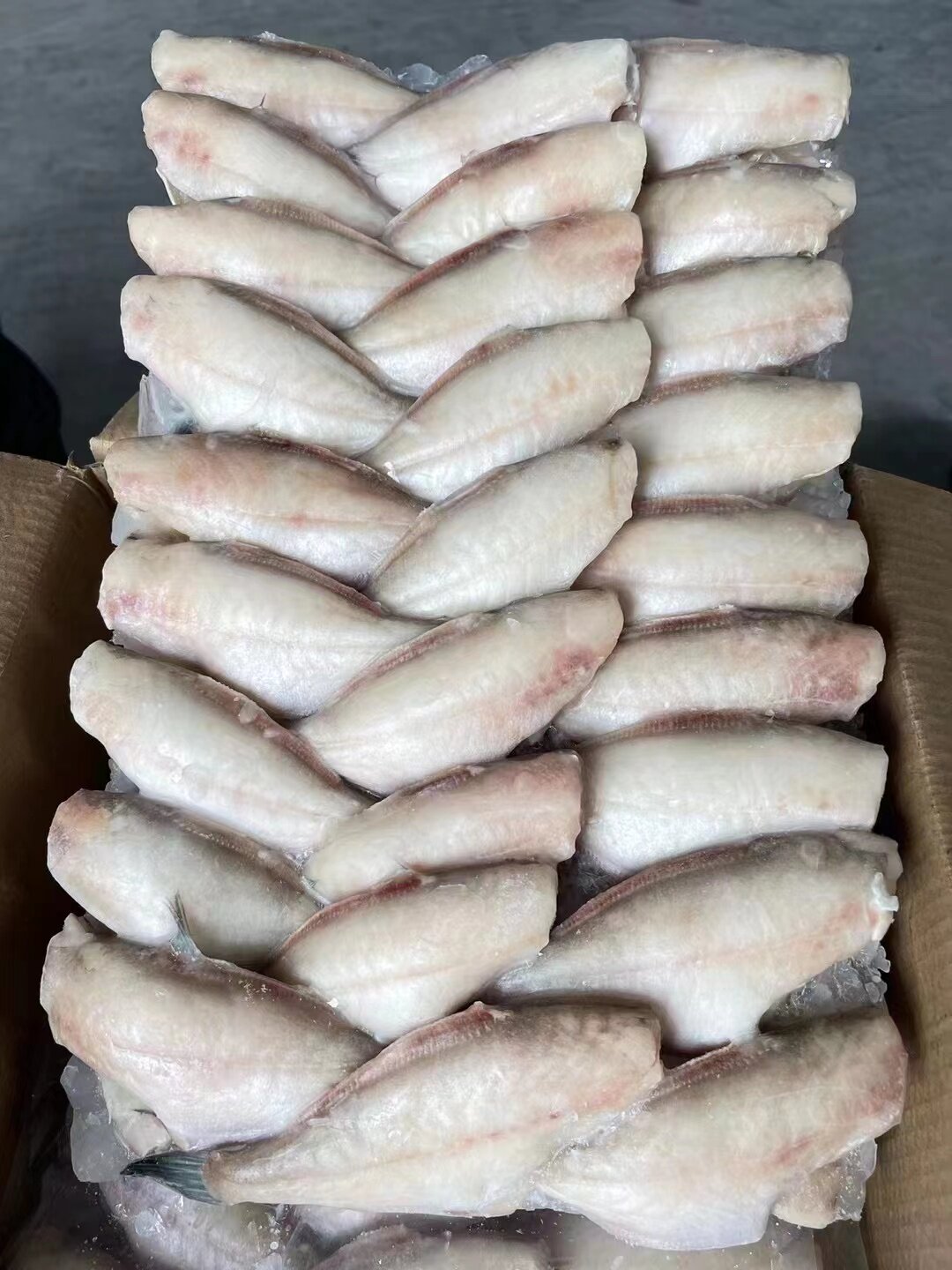 新鲜扒皮鱼耗儿鱼剥皮鱼蓝尾板冻50/100马面鱼干锅火锅空运包邮