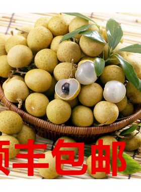 海南三亚石峡龙眼5斤顺丰空运
