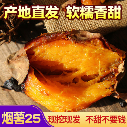 沙地蜜薯山东红薯小香薯农家新鲜地瓜新鲜现挖紫薯烤番薯烟薯25