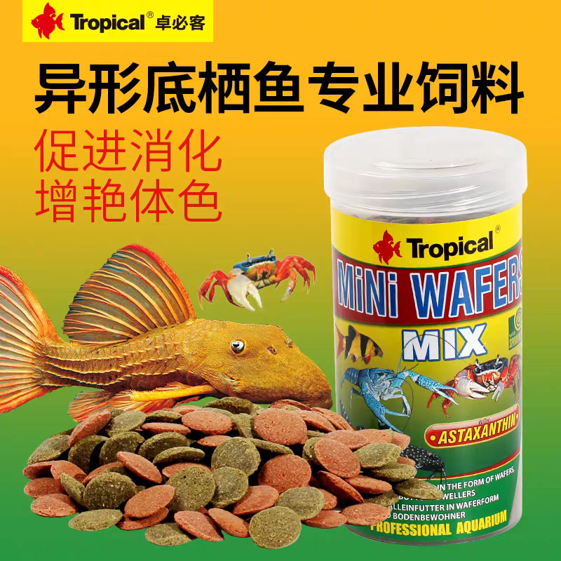 吃双色栖鱼粮热带素食小饼卓必胡子客底异型鼠鱼饲料肉食杂食沉底