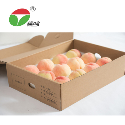 【桃咏】南汇水蜜桃12个装单果225g以上 新凤蜜露品种