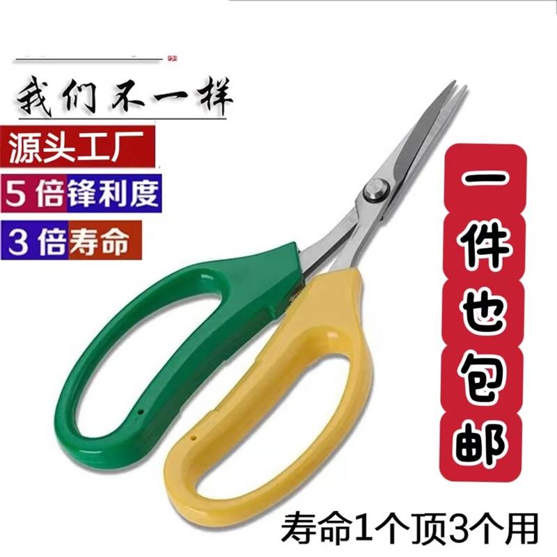 葡萄专用剪刀不锈钢翘头园艺剪蔬果稀果修花树枝花椒采果桔子采摘