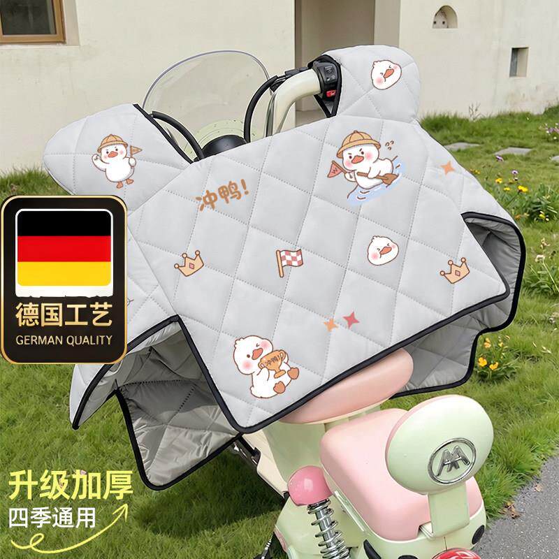 德国工艺四季通用电动车