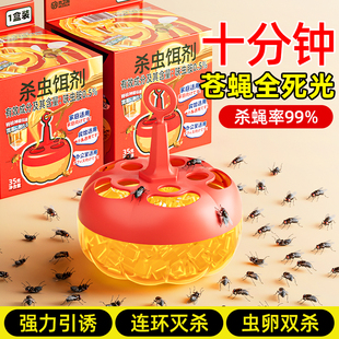 果蝇诱捕器杀蝇饵剂灭苍蝇贴自带诱饵强力粘蝇纸板捕捉小飞虫神器