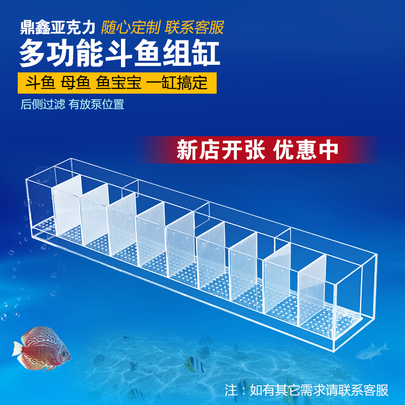 桌面生态小型迷你隔离盒斗鱼缸鱼