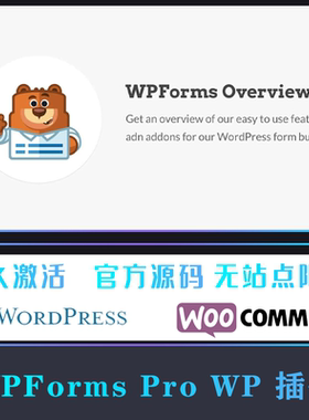 WPForms Pro 中文版 自定义拖放表单设计WordPress插件 WP插件