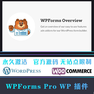 WPForms Pro 中文版 自定义拖放表单设计WordPress插件 WP插件
