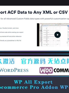 WP All Export Woocommerce Pro Addon WP插件 产品导出插件