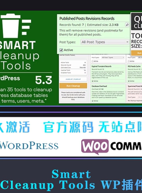 Smart Cleanup Tools 中文版 数据库智能清理优化插件 WP插件