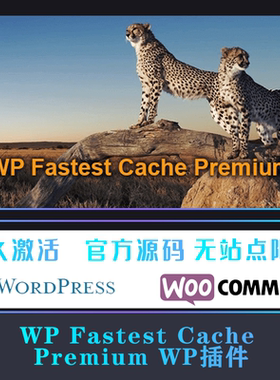 WP Fastest Cache Premium 生成html静态缓存加速优化插件 WP插件
