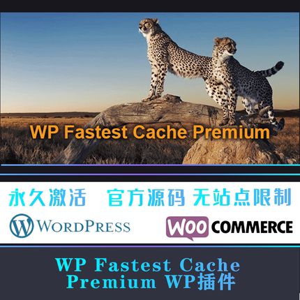 WP Fastest Cache Premium 生成html静态缓存加速优化插件 WP插件