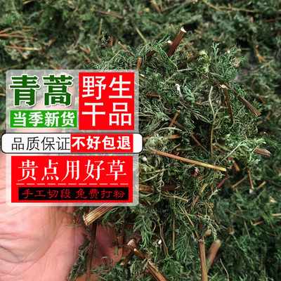 河南野生青蒿干青蒿2025年鲜苦蒿香蒿臭蒿黄蒿泡茶泡澡500克包邮
