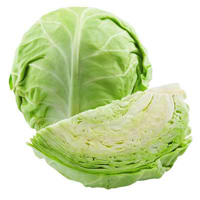 寿禾绿甘蓝种子苗四季高产卷心菜