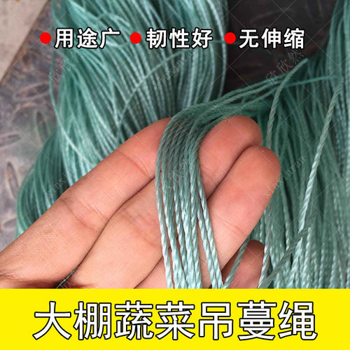 农用老化大棚蔬菜吊蔓绳黄瓜番茄