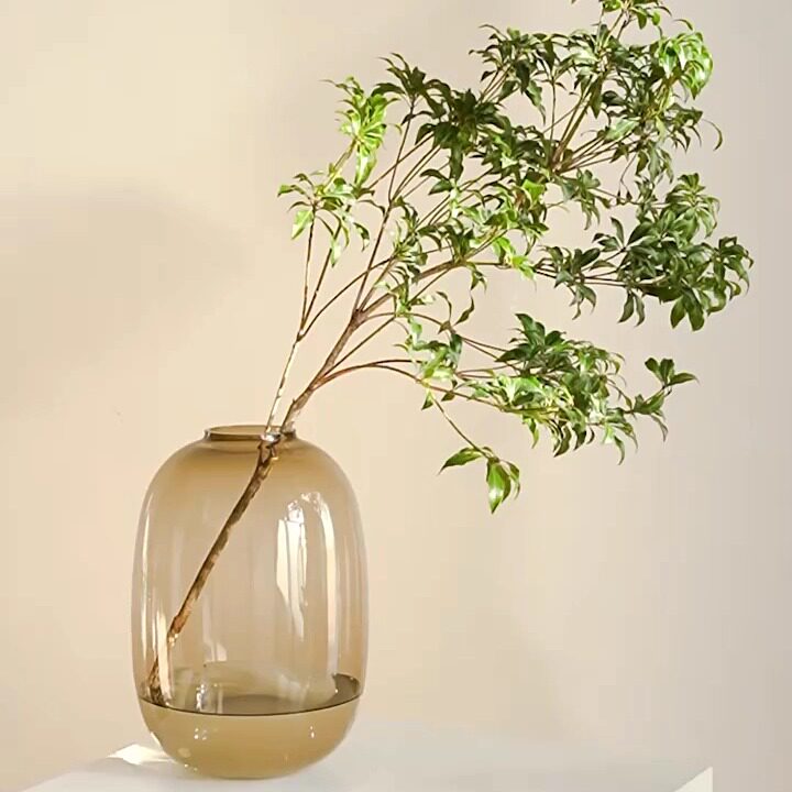 【双11狂欢节】高级感花瓶摆件玻璃吊钟雪柳水培插花客厅落地装饰