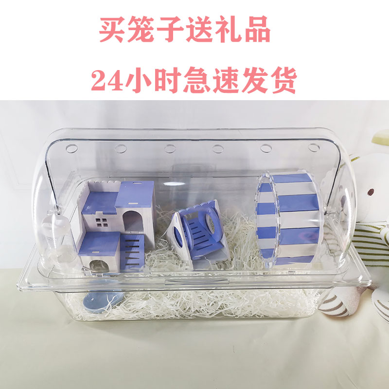 新款侏儒diy酱菜高透三线金丝熊