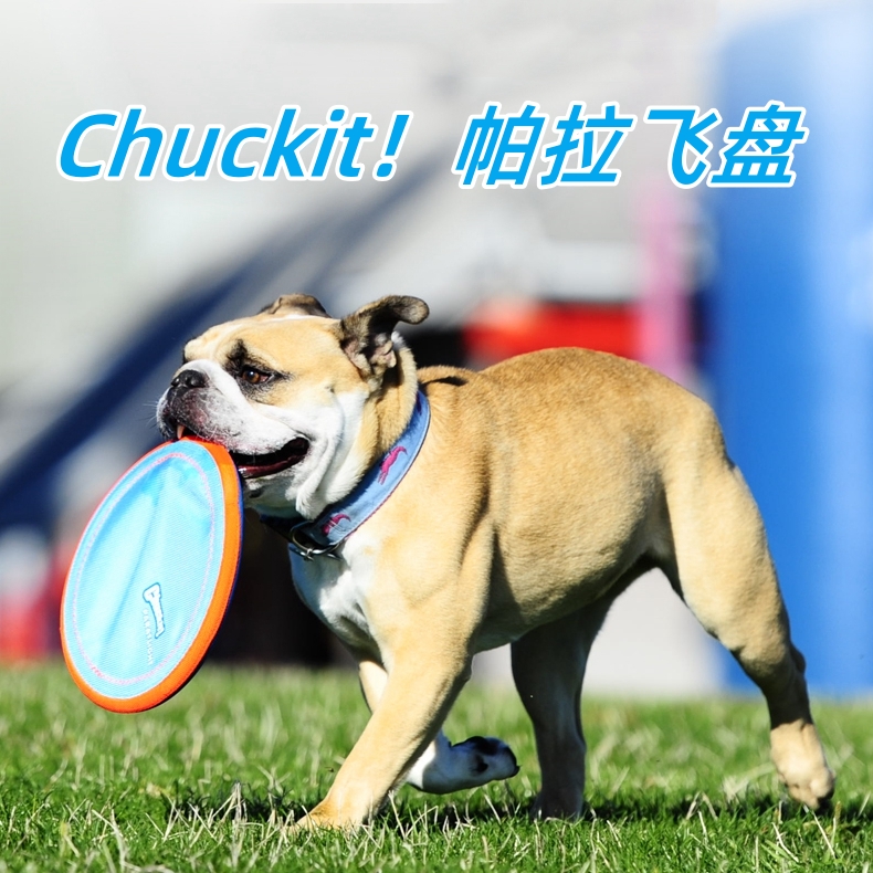 美国petmate狗玩具 CHUCKIT狗狗飞盘 帕拉飞盘