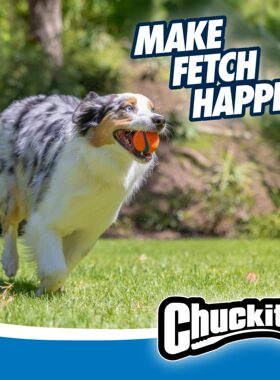 美国PETMATE狗玩具 CHUCKIT ultra橡胶弹力球
