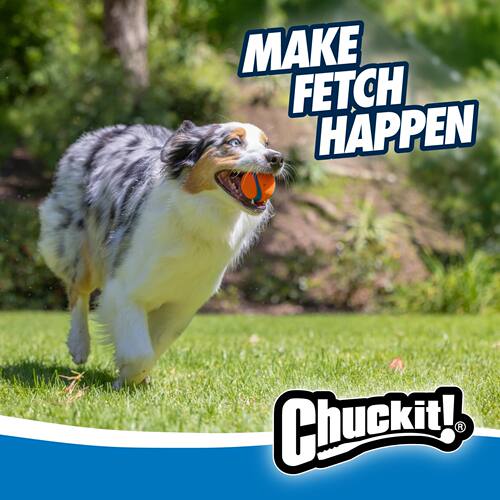 PETMATE狗狗橡胶弹力球CHUCKIT