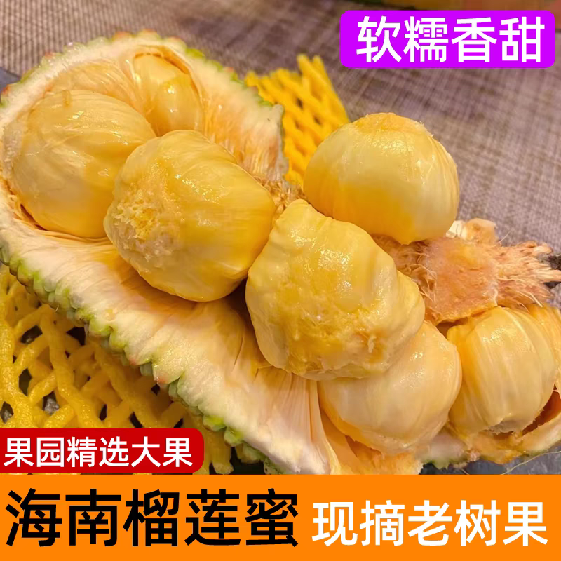 海南榴莲蜜爆甜软糯新鲜当季水果树上熟榴莲蜜爆甜软糯