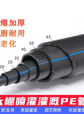 16PE农用灌溉支管大棚20pe滴灌管微喷草坪果树农业喷灌设备75主管