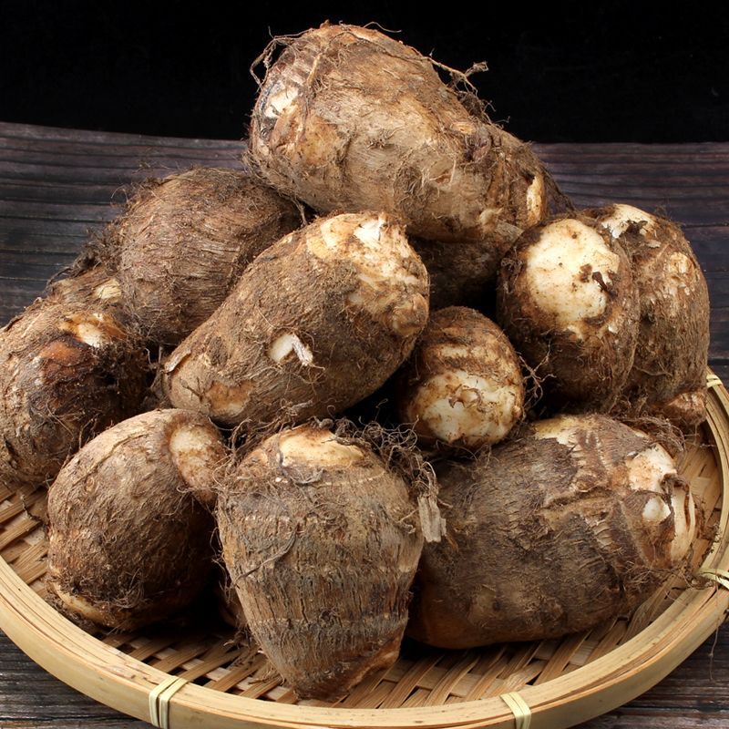 河南沙地现挖牛奶小芋头新鲜毛芋头香芋艿应季蔬菜3斤5斤