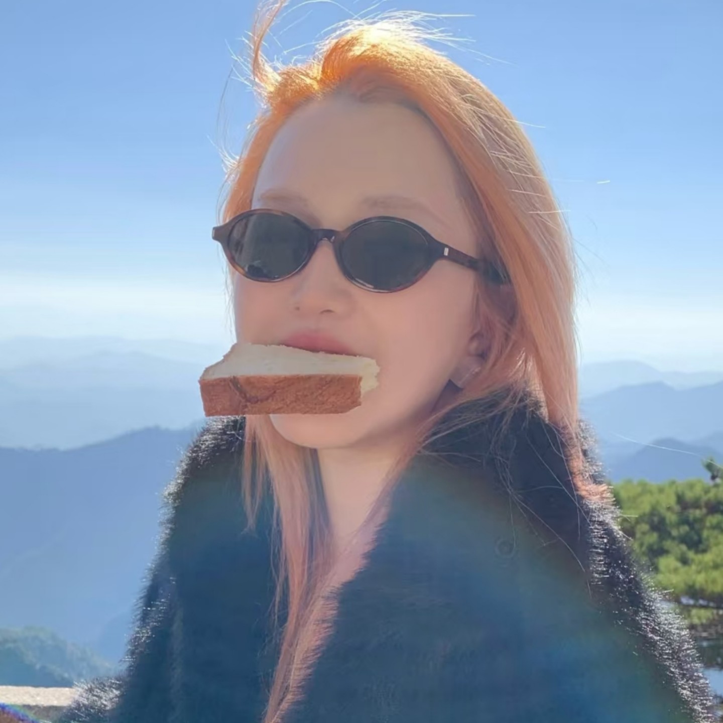 复古椭圆豹纹窄框墨镜男女新款网红斯文度假旅行简约太阳眼镜小脸