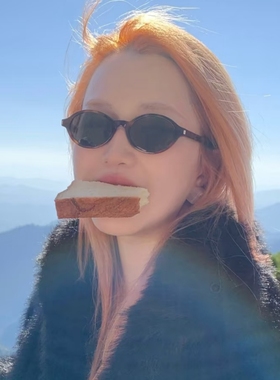 复古椭圆豹纹窄框旅行墨镜潮男女