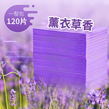 地板清洁片家用拖地适用瓷砖厕所清洗剂清香清洁片薰衣草香