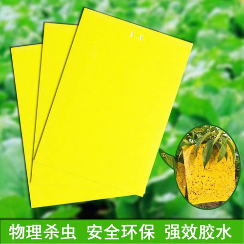 双面粘虫板贴纸小飞虫沾果蝇诱捕捉蚊子苍蝇大棚黄板